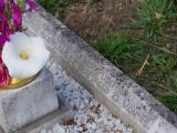 image of grave number 795999